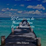 50 Canciones de Música de Spa Para Meditación