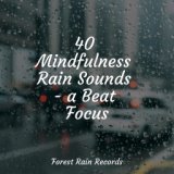 40 Mindfulness Rain Sounds - a Beat Focus