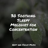 30 Soothing Sleepy Melodies for Concentration