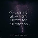 40 Calm & Slow Rain Pieces for Meditation