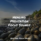 Healing Meditation Focus Sounds