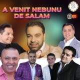 A VENIT NEBUNU DE SALAM