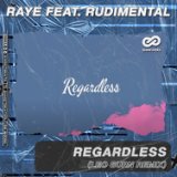 Regardless (Leo Burn Radio Edit)