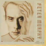 Peter Murphy