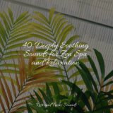 40 Deeply Soothing Sounds for Zen Spa and Relaxation