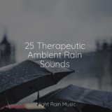 25 Therapeutic Ambient Rain Sounds