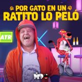 Por Gato En Un Ratito Lo Peló