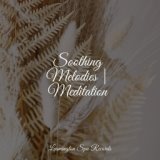 Soothing Melodies | Meditation