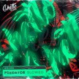 Predator