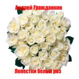 Лепестки Белых Роз