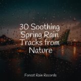 30 Soothing Spring Rain Tracks from Nature