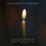 Крокус