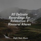 80 Delicate Recordings for Relaxation & Binaural Waves