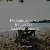 Paisajes Sonoros Relajantes | Estudiar Sueños