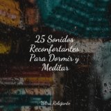 25 Sonidos Reconfortantes Para Dormir y Meditar