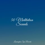 50 Meditation Sounds