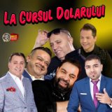 La Cursul Dolarului