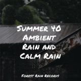 Summer 40 Ambient Rain and Calm Rain