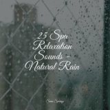 25 Spa Relaxation Sounds - Natural Rain