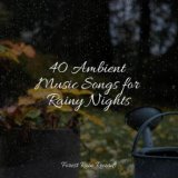 40 Ambient Music Songs for Rainy Nights