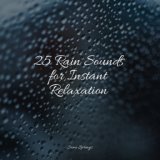 25 Rain Sounds for Instant Relaxation