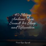 40 Sleepy Ambient Rain Sounds for Sleep and Relaxation
