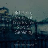 40 Rain, Ambient Tracks for Spa & Serenity