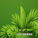 Gabimet