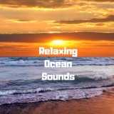 Beautiful Ocean Sounds