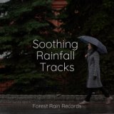 Soothing Rainfall Tracks