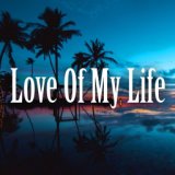 Love Of My Life (Cover)