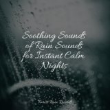 Soothing Sounds of Rain Sounds for Instant Calm Nights