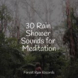 30 Rain Shower Sounds for Meditation