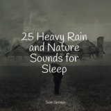 25 Heavy Rain and Nature Sounds for Sleep