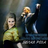 Белая роза [topmuzon.com]