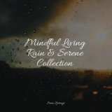 Mindful Living Rain & Serene Collection