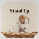 Stand Up