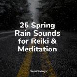 25 Spring Rain Sounds for Reiki & Meditation