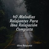 40 Melodías Relajantes Para Una Relajación Completa