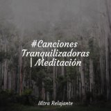 #Canciones Tranquilizadoras | Meditación