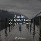 Sonidos Relajantes Para Relajar la Mente