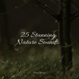 25 Stunning Nature Sounds