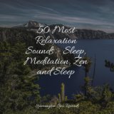 50 Most Relaxation Sounds - Sleep, Meditation, Zen and Sleep