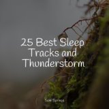 25 Best Sleep Tracks and Thunderstorms