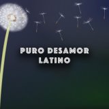 Puro Desamor Latino