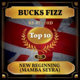 New Beginning (Mamba Seyra) (UK Chart Top 40 - No. 8)