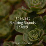 The Best Relaxing Sounds | Sleep