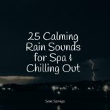 25 Calming Rain Sounds for Spa & Chilling Out