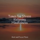 Tunes for Stress Relieving Mindfulness