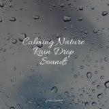 Calming Nature Rain Drop Sounds